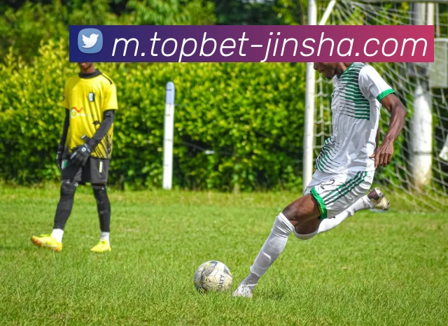 金沙国际服务体系